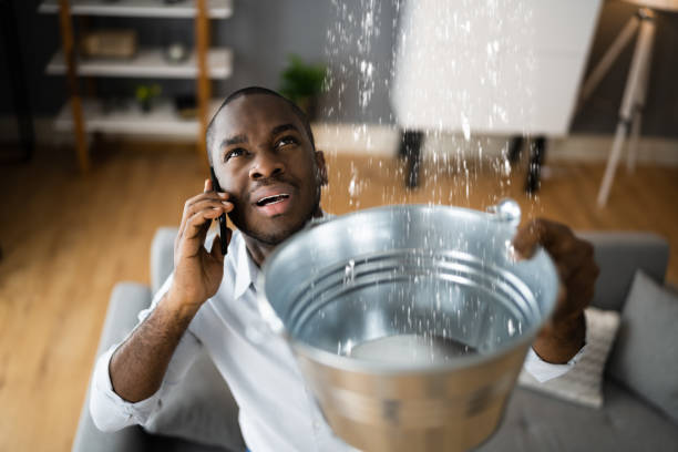 Best Basement water damage restoration  in Seward, AK