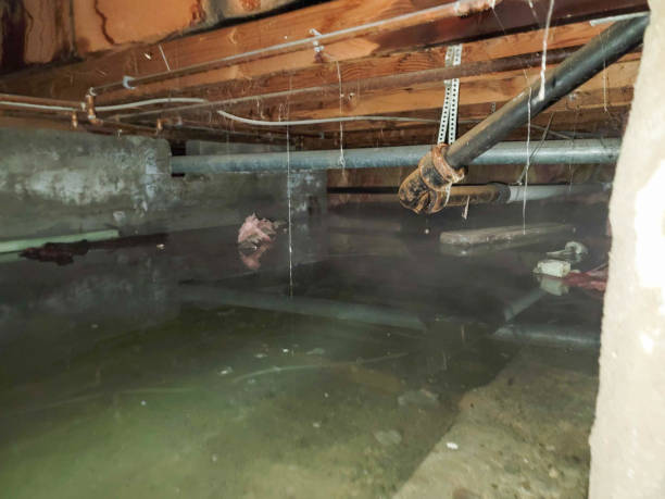 Professional Water damage restoration in AK