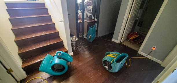 Carpet water damage restoration in AK
