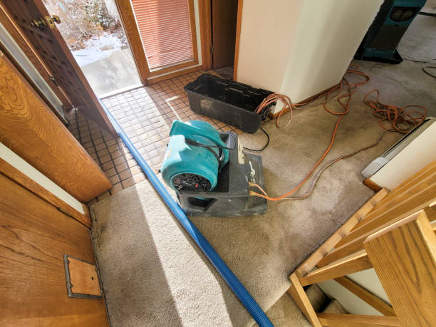 Best Commercial water damage restoration  in Seward, AK