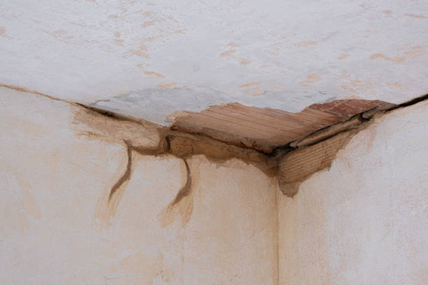 Best Water damage restoration cost  in Seward, AK