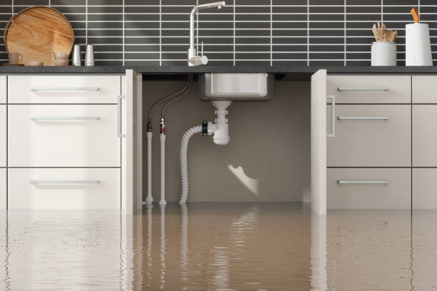 Best 24/7 water damage repair  in Seward, AK