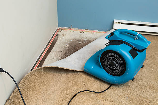 Best Emergency water damage restoration  in Seward, AK