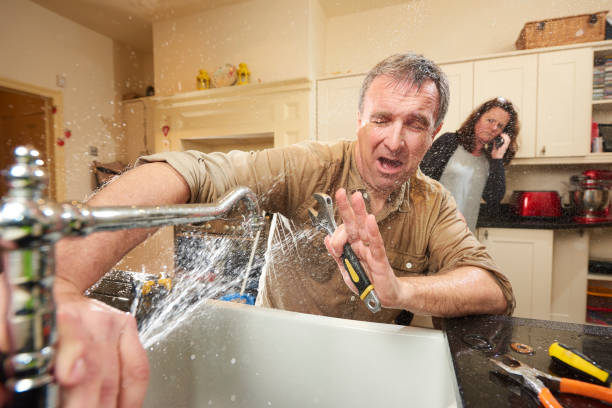 Best Flood damage cleanup  in Seward, AK